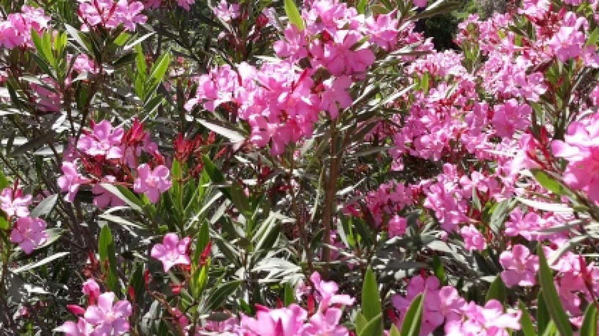 Фото нашего гида Марины Чудновской