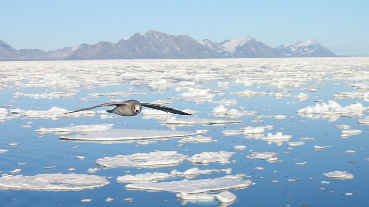 Фото: Alastair Rae, visualhunt.com