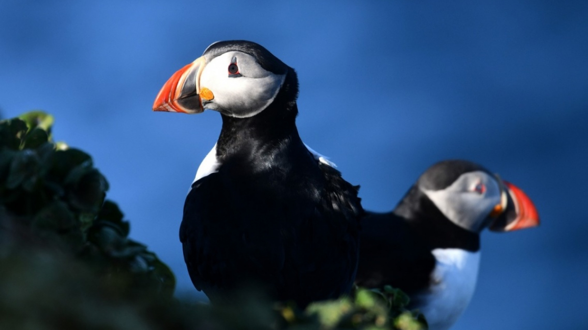 Фото из архива Клуба