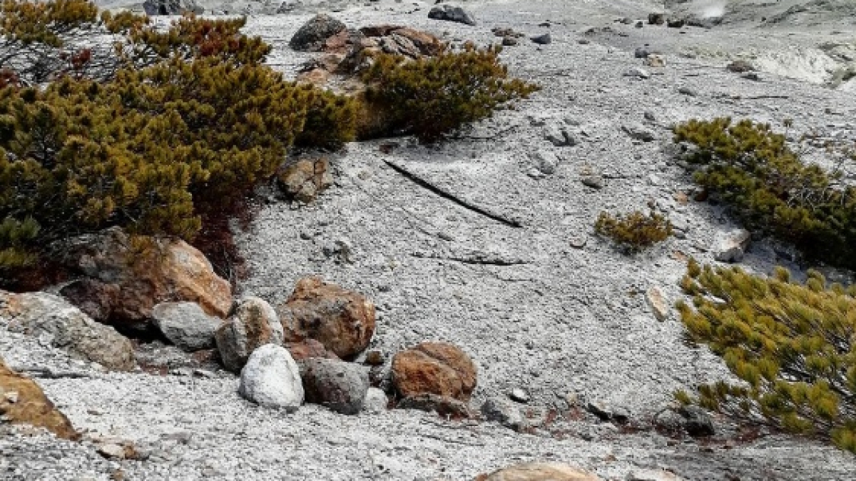 Фото нашей туристки Екатерины Ляпиной