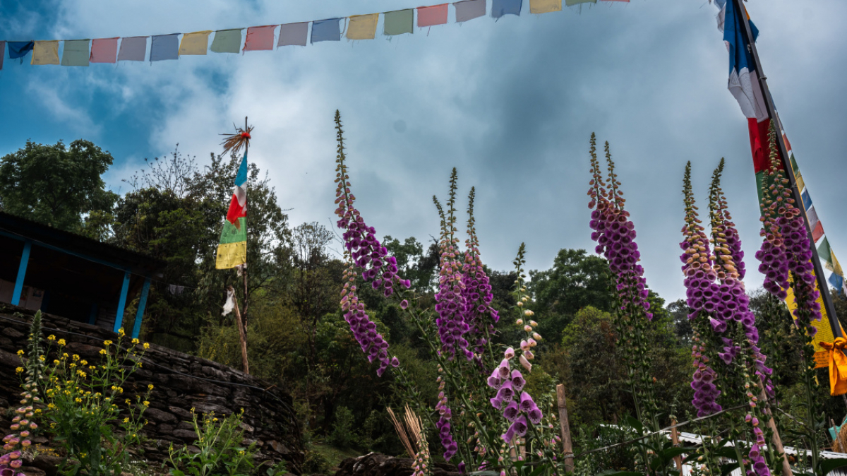 Фото нашего Странника Станислава Дышева