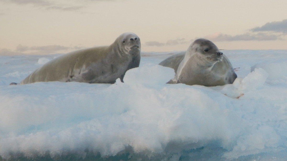 Фото: Torsten Dederichs, unsplash.com