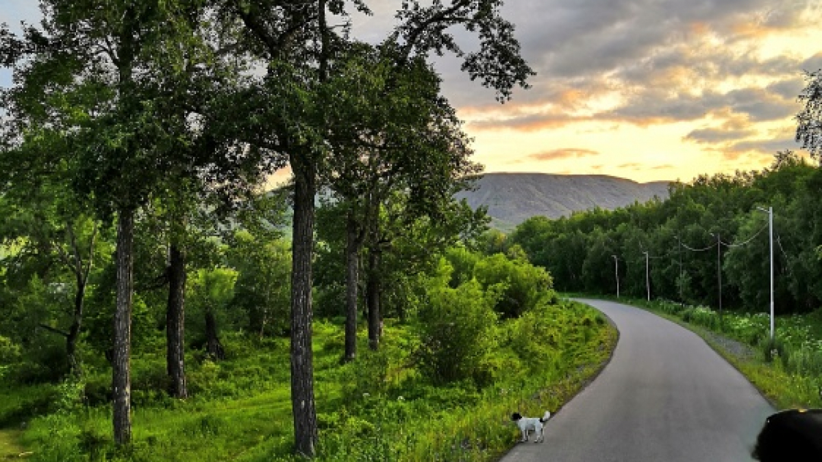 Photo by our tourist Tatyana Partsey