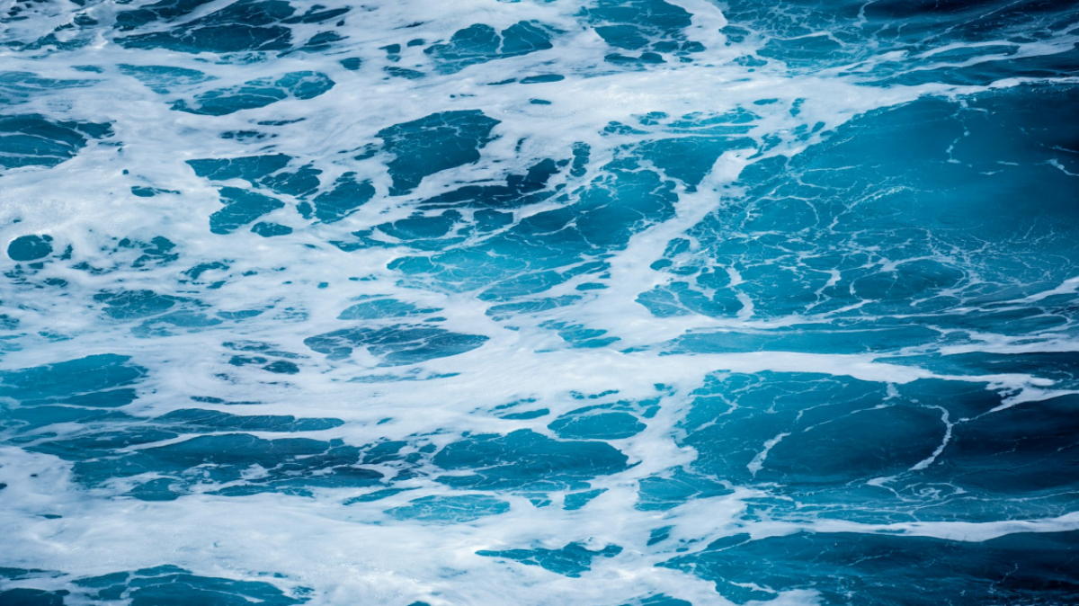 Фото: James Eades, unsplash.com