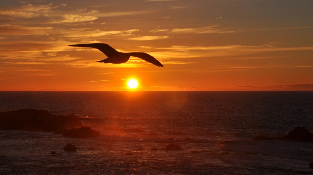 Атлантика. Фото нашей Странницы Натальи Царевой