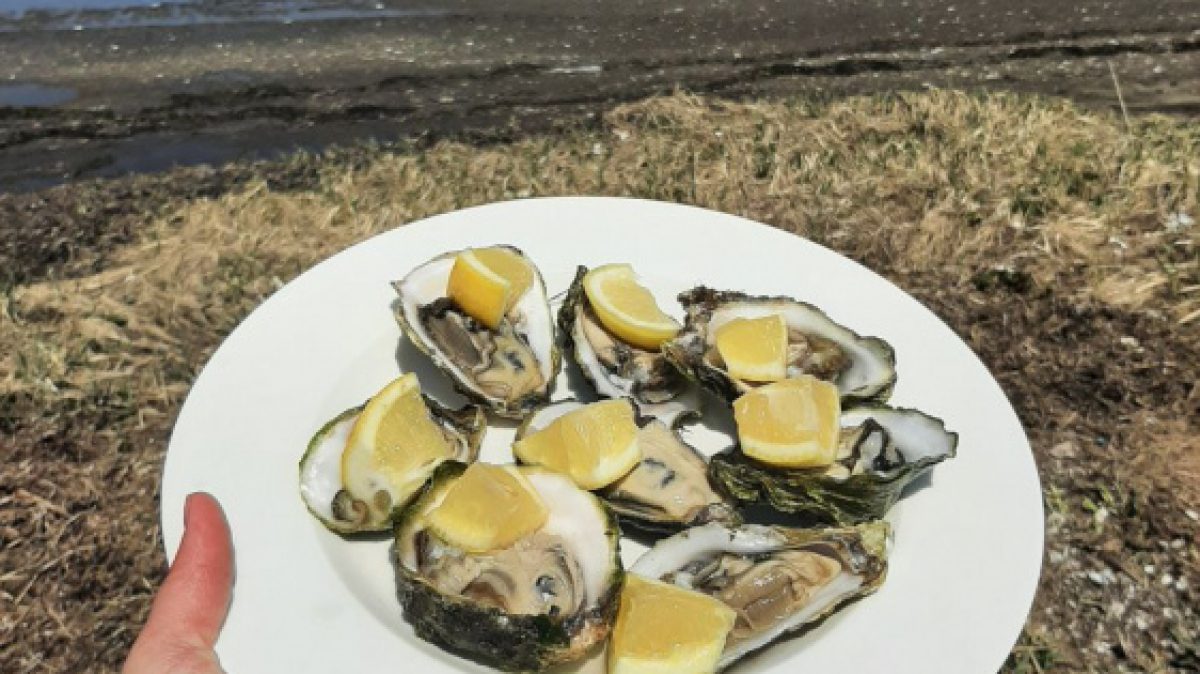 Фото нашей Странницы Марии Карловой