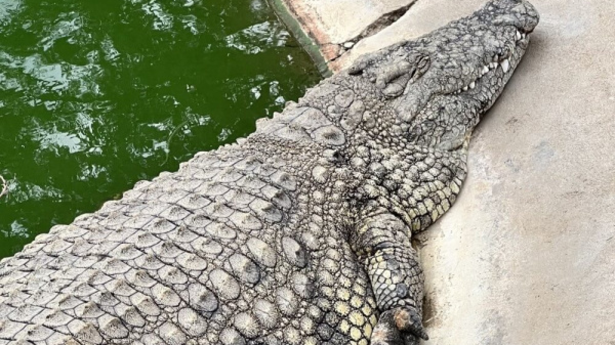 Фото: наш гид Алексей Шорец