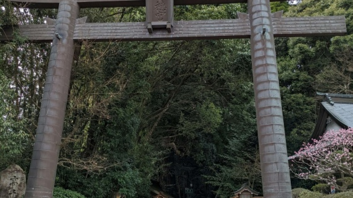 Фото Tosh Kanaxx, unsplash.com