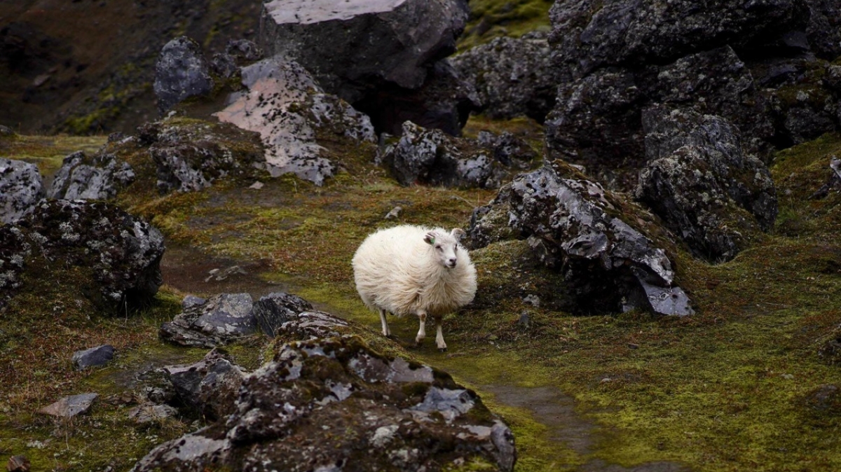 Фото нашего Странника Александра Сироткина