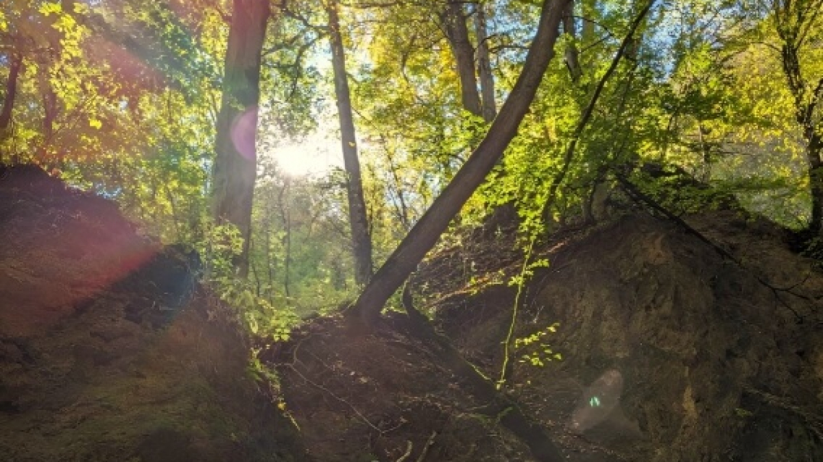 Фото наших Странников