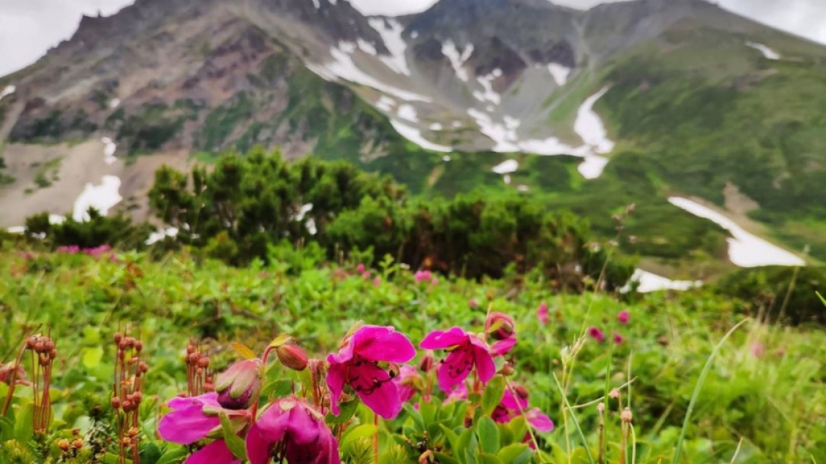 Photo by our guide Evgenia Skopina