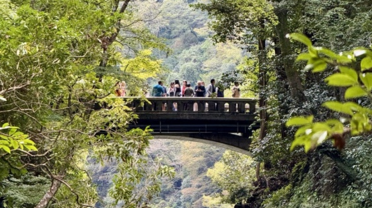 Фото нашей Странницы Алёны Аксёновой