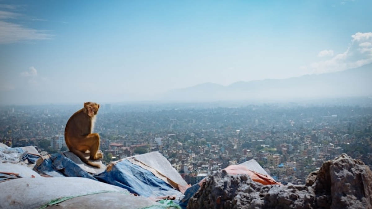 Photo by Ben Pauer, unsplash.com