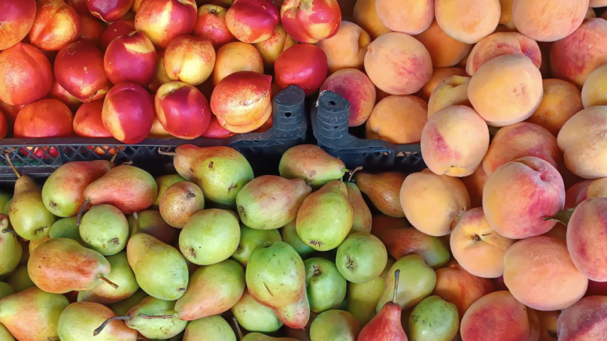 Фото наших Странников