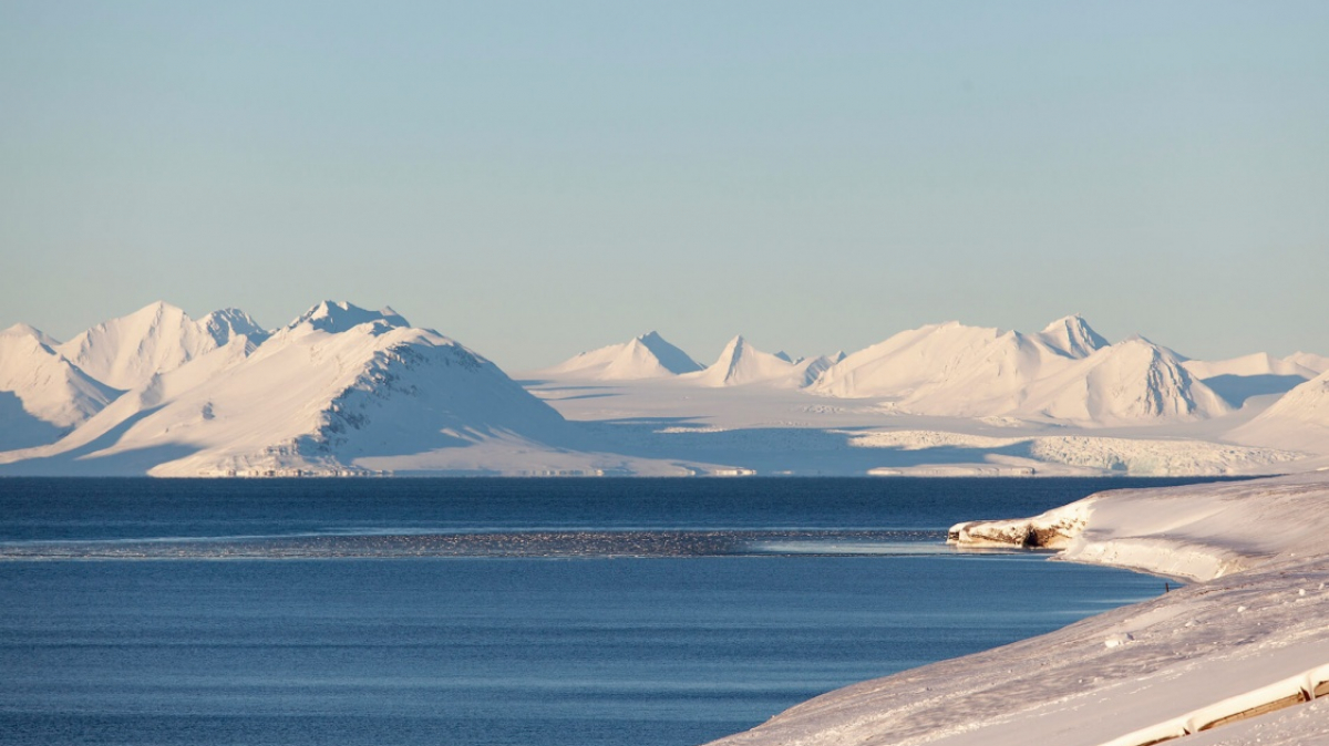 Фото: Куплевацкий