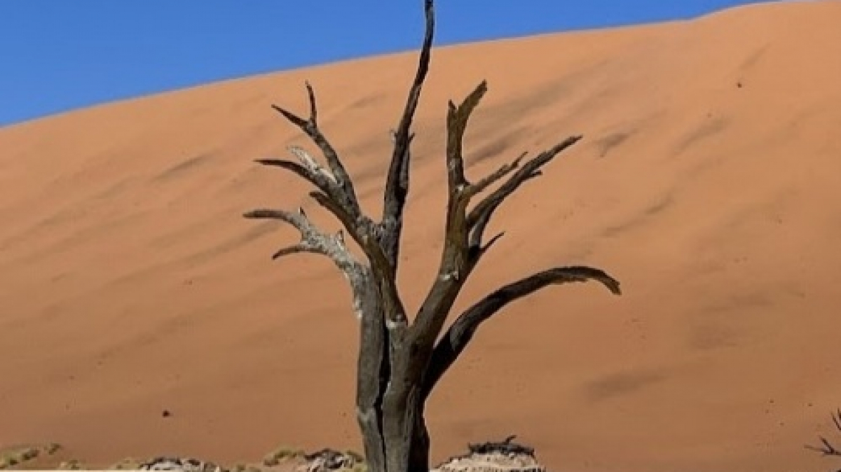 Долина Смерти. Фото: наш гид Алексей Шорец