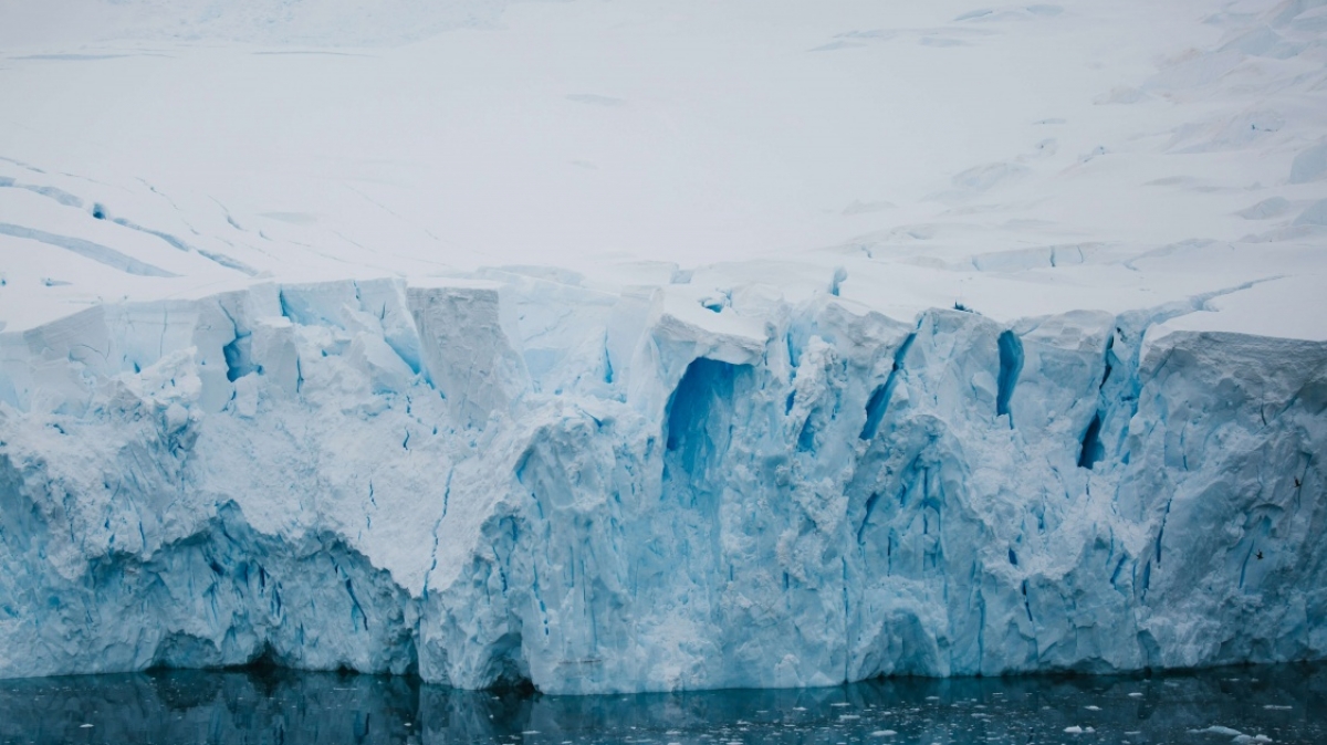 Фото:  John Bozinov