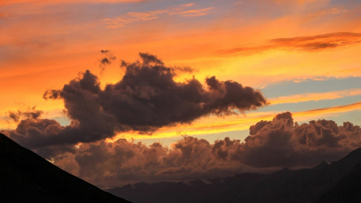 Фото: Frantisek Duris, unsplash.com