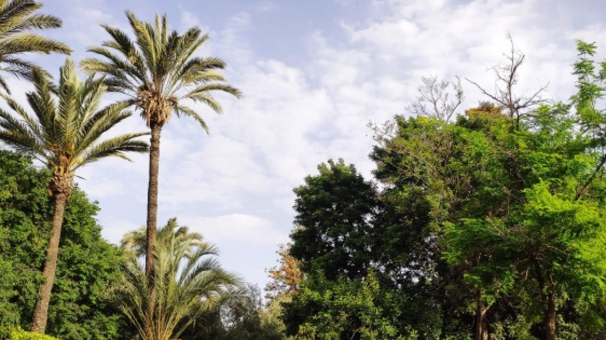 Фото нашего гида Евгении Скопиной