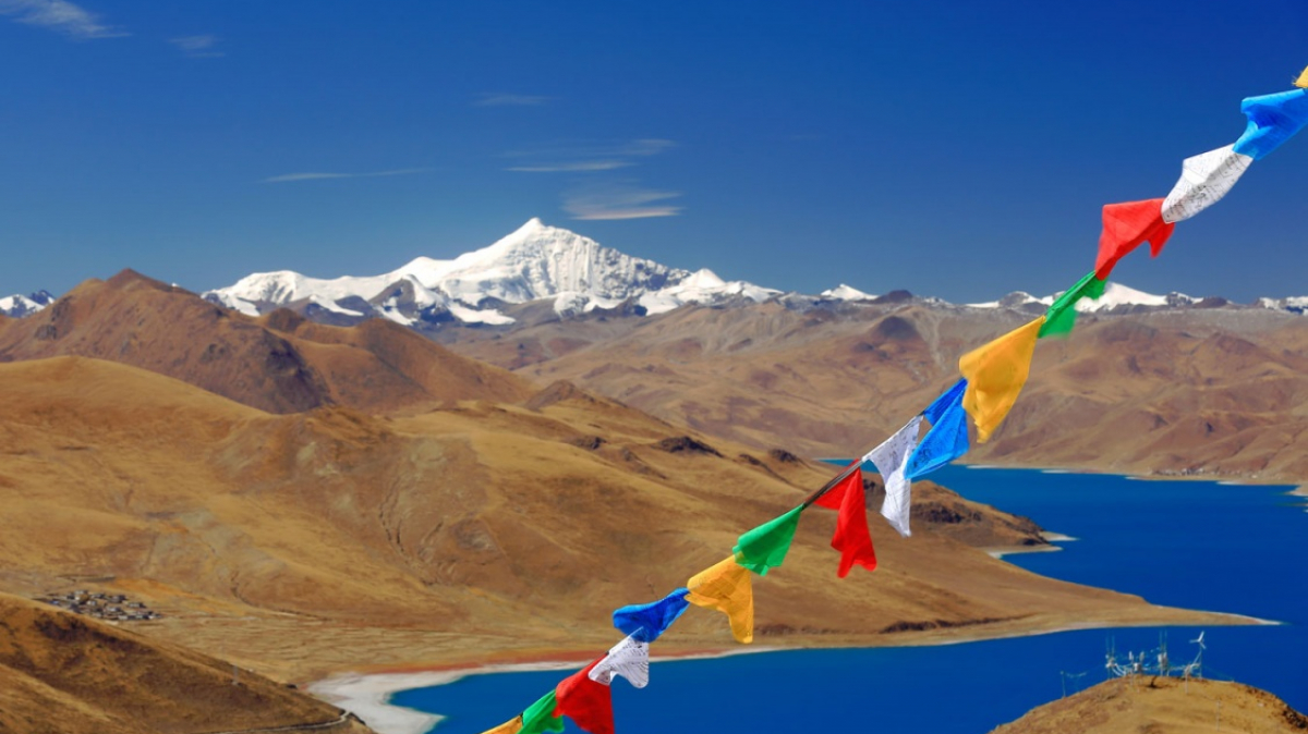 Фото: rweisswald on shutterstock