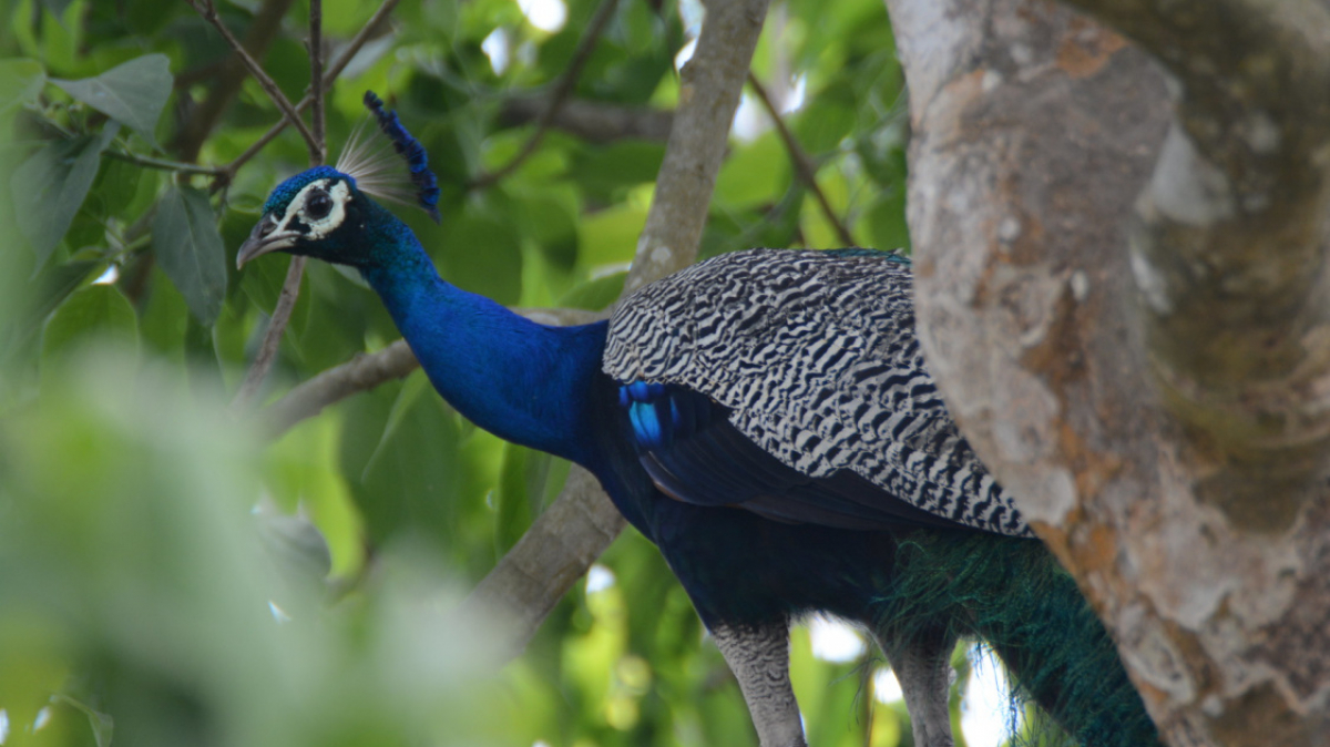 Фото: Clint__Budd on Visualhunt