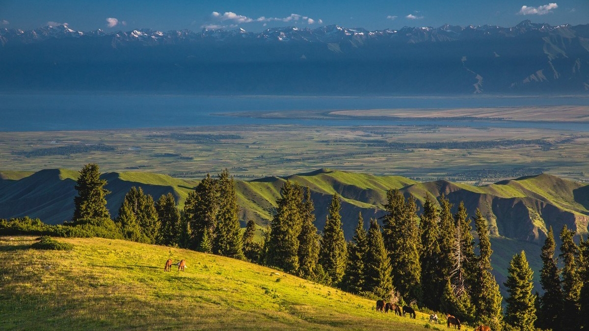 Фото: Самарин Михаил