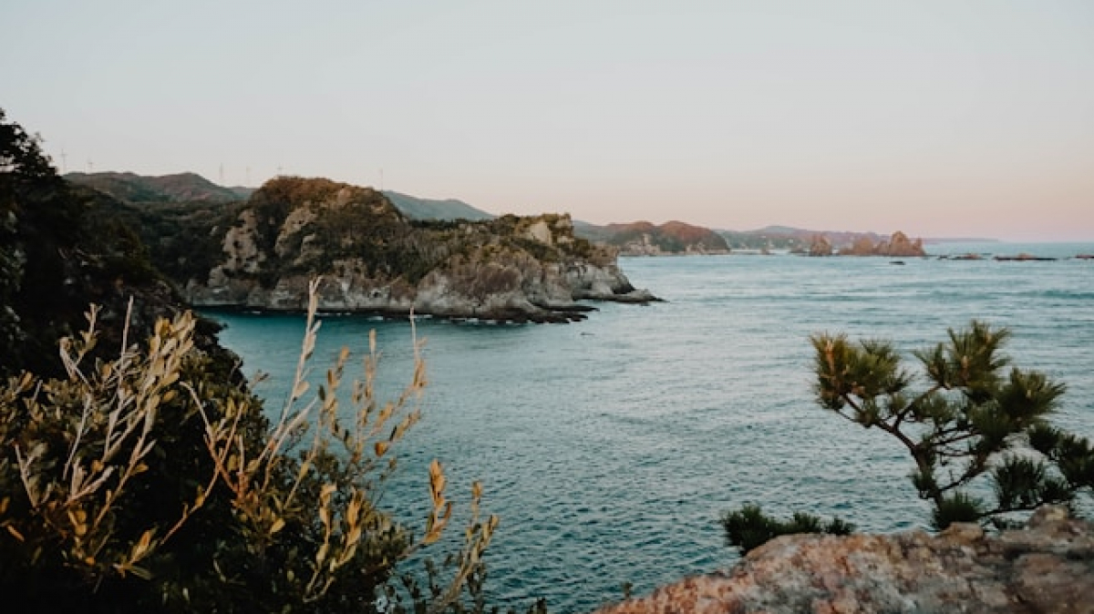 Фото: Anne Laure on unsplash