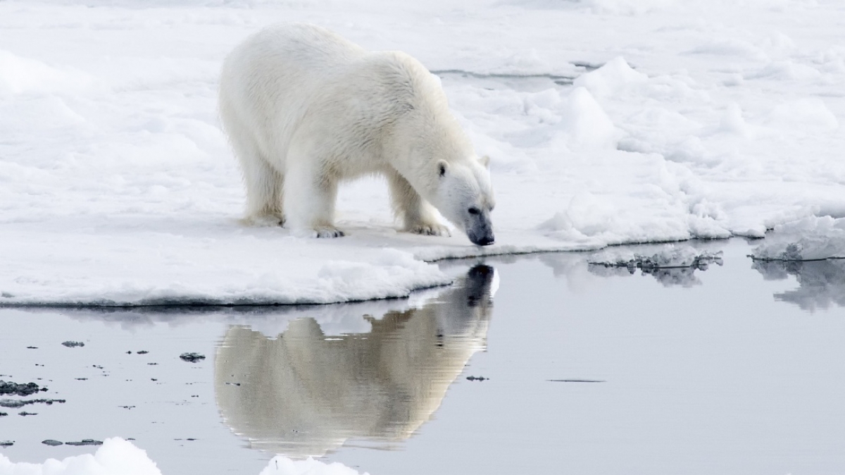 Фото: Christopher.Michel, visualhunt.com