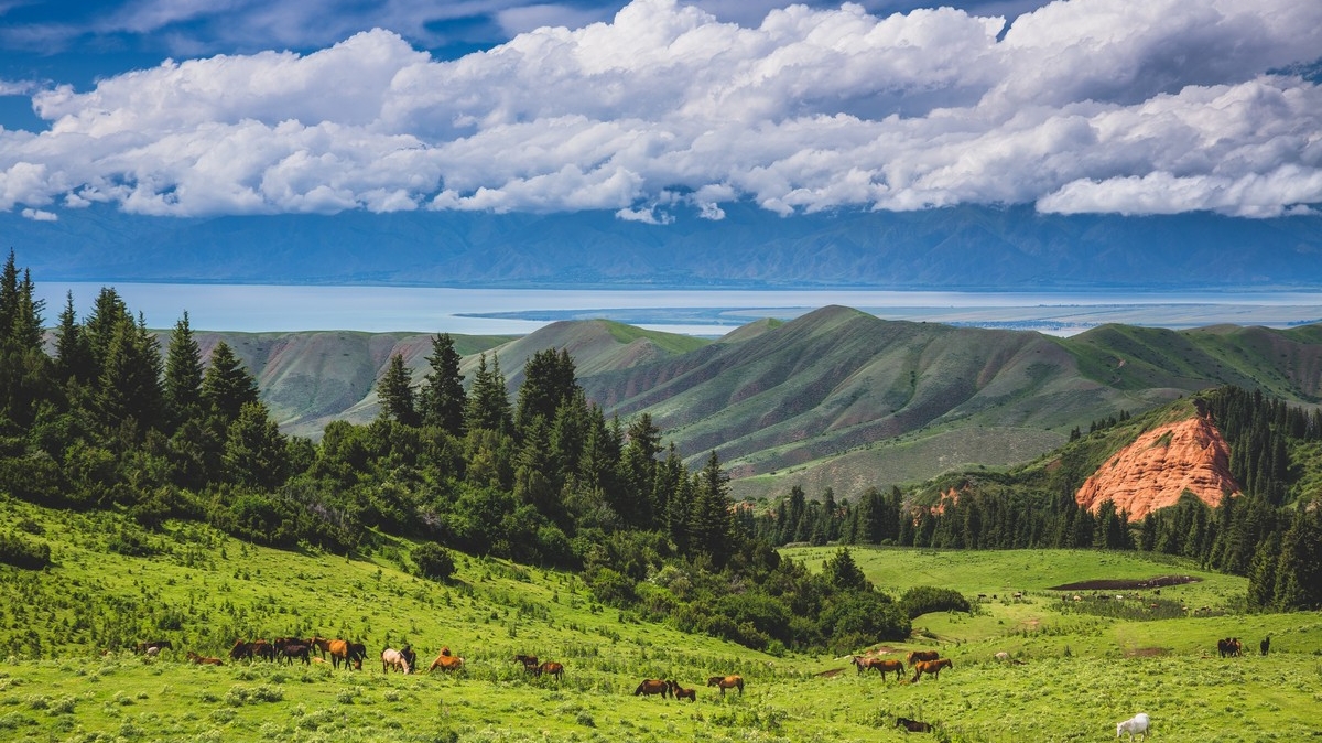 Фото: Михаил Самарин