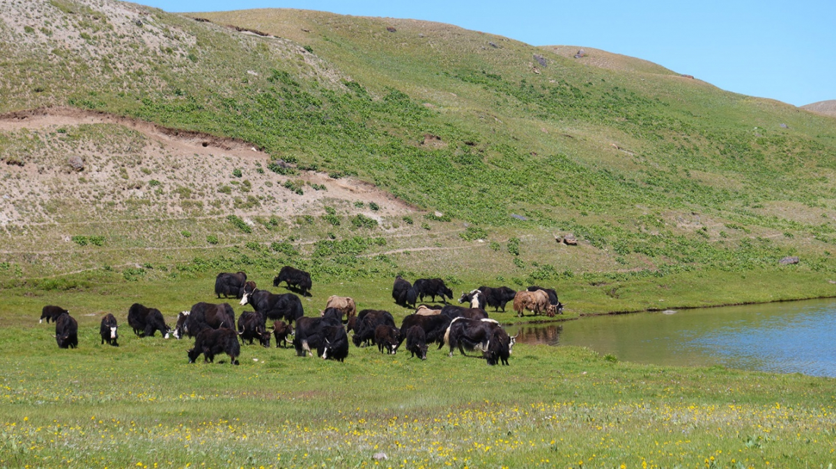 Фото из архива Клуба