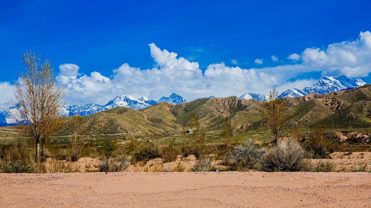 Фото: Елизарова Ирина
