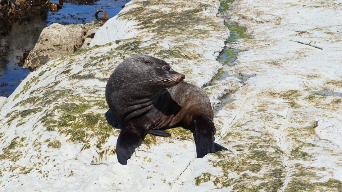 Фото из архива Клуба