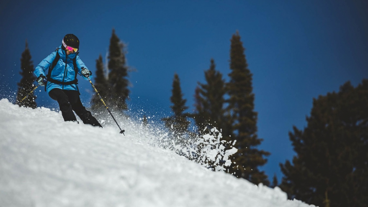 Фото: Patrick Hendry, unsplash.com