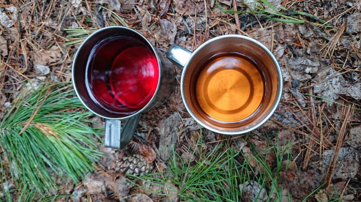 Фото нашего Странника Павла Кузьмина