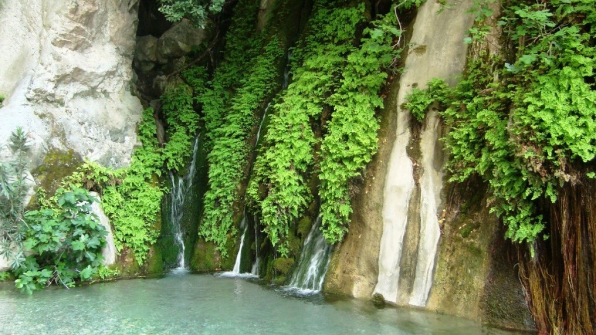 Из архива Клуба