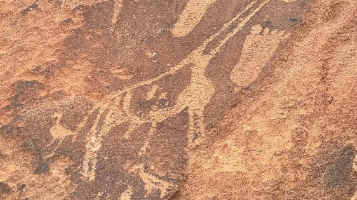 Петроглифы. Фото: наш гид Алексей Шорец