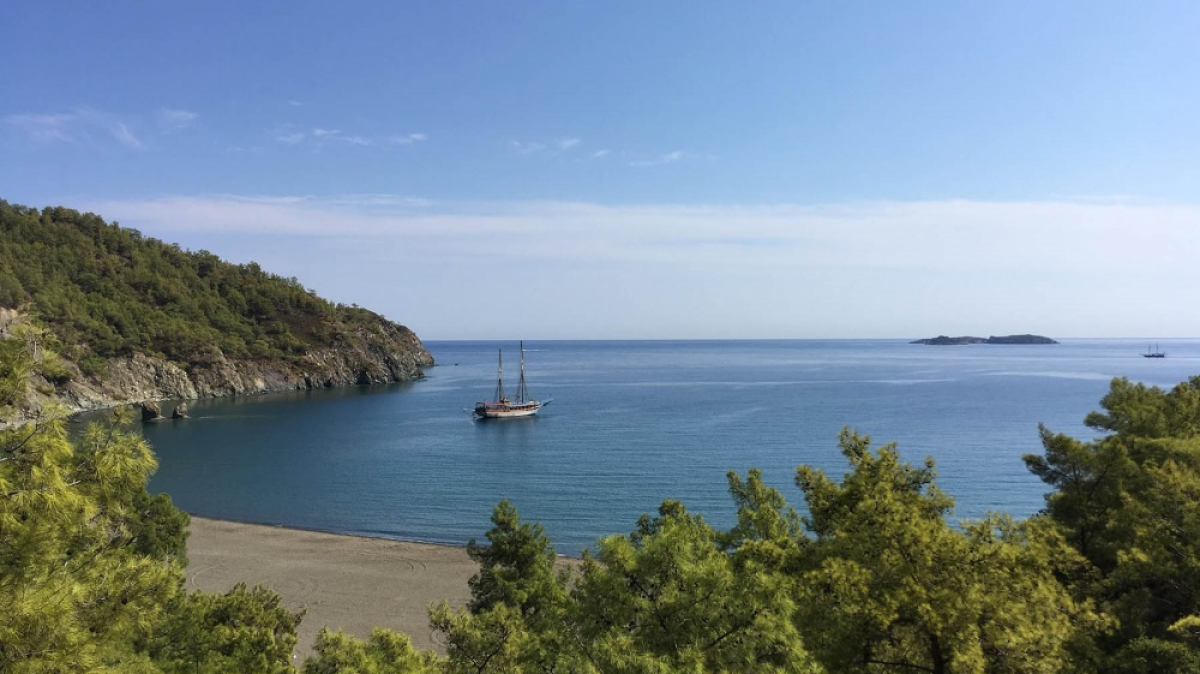 Фото: Daryna Zvierieva, unsplash.com