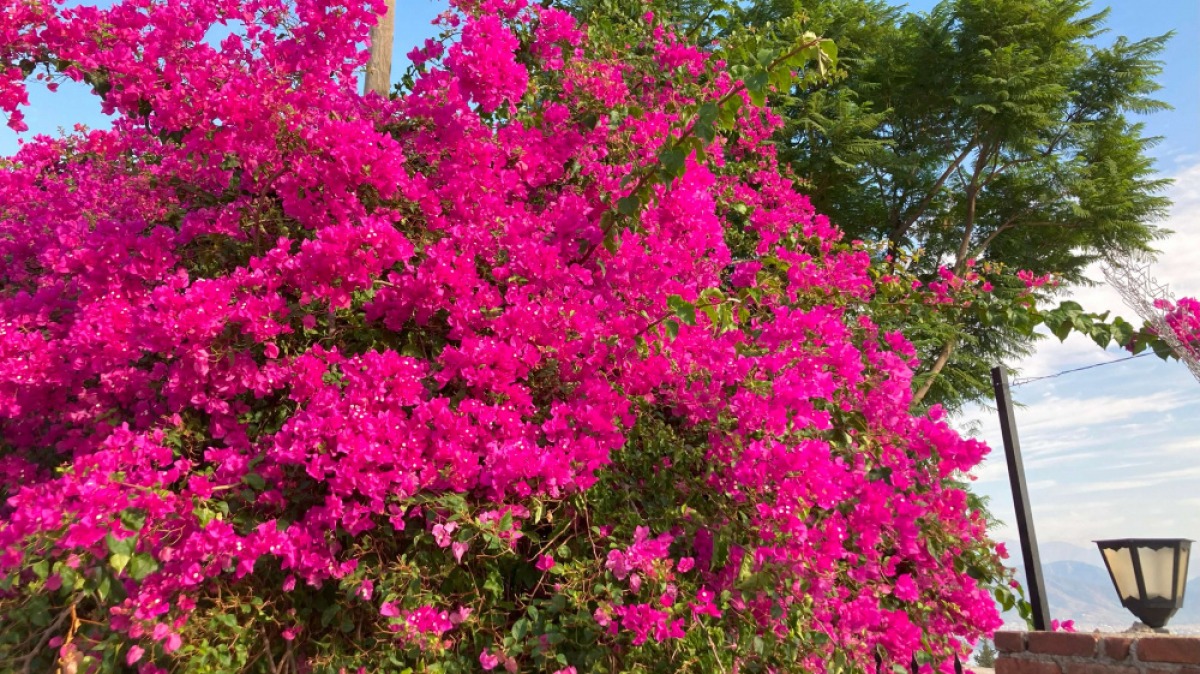 Фото нашей Странницы Анастасии Палагиной