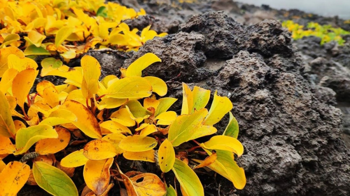 Photo by our guide Evgenia Skopina