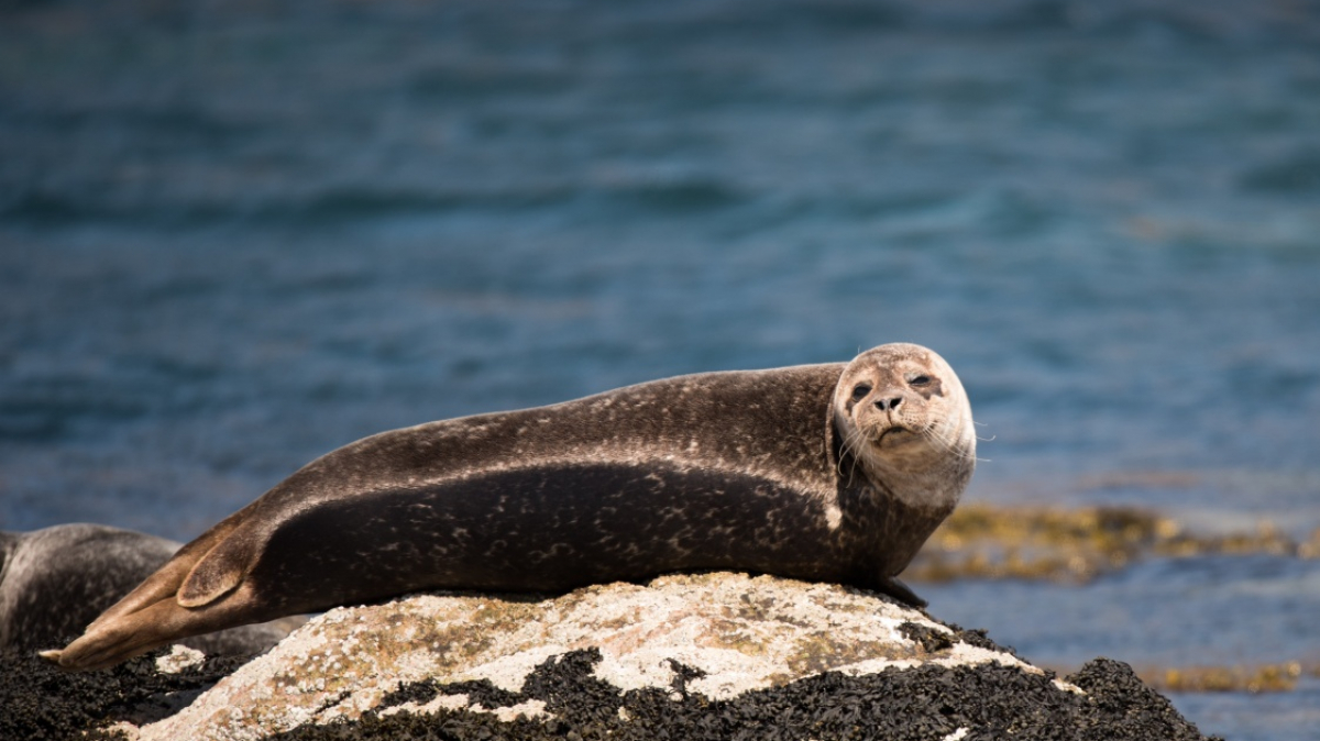 Photo: Ramon Vloon, unsplash.com