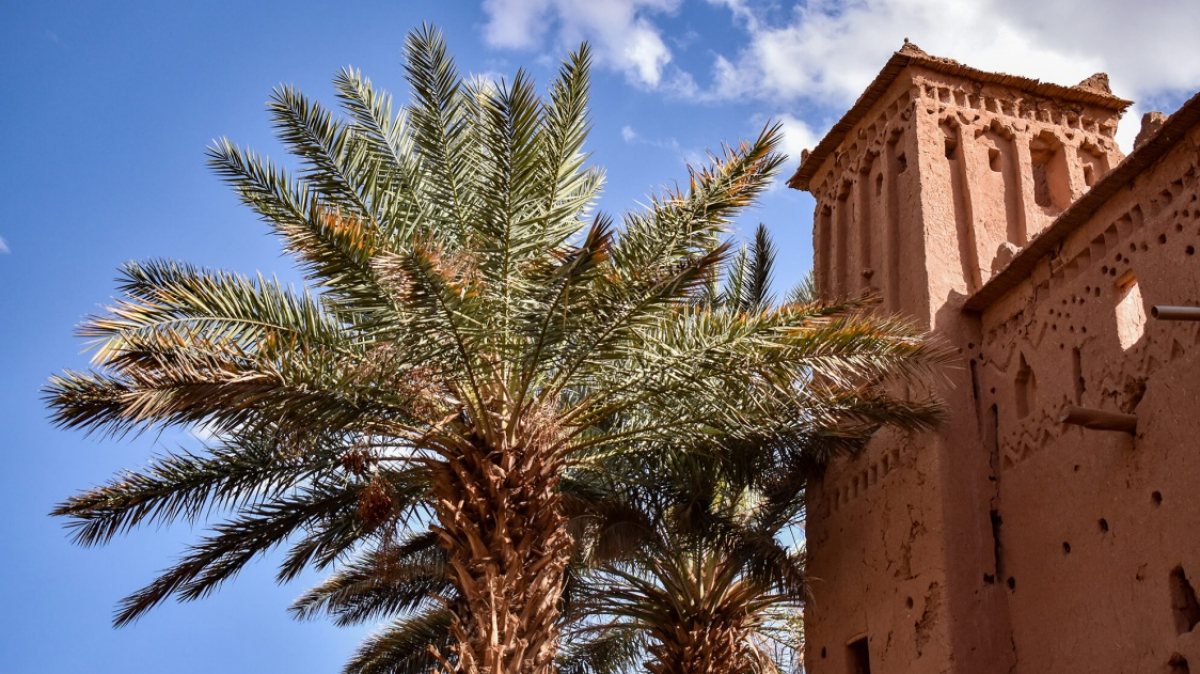 Фото нашей Странницы Виктории Малюк