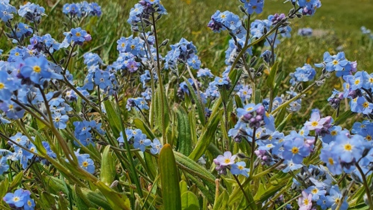 Фото из архива Клуба