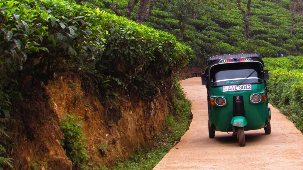Фото нашего гида Лики Майстровой