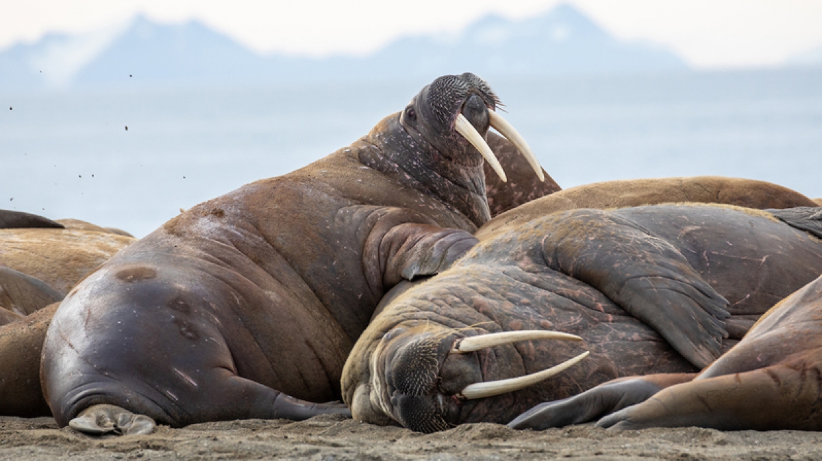 Фото из архива Клуба