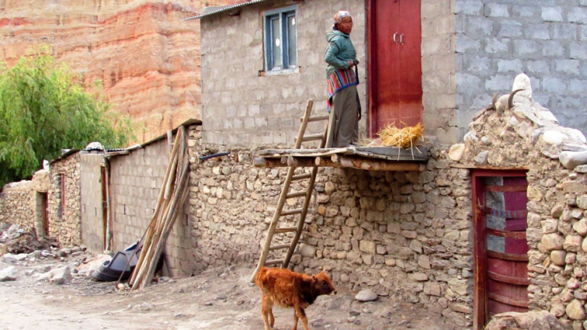 Photo by our guide Lika Maystrova