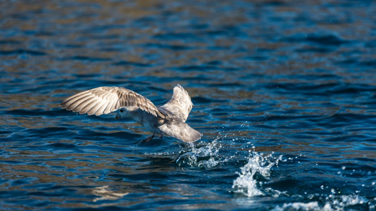 Фото из архива клуба