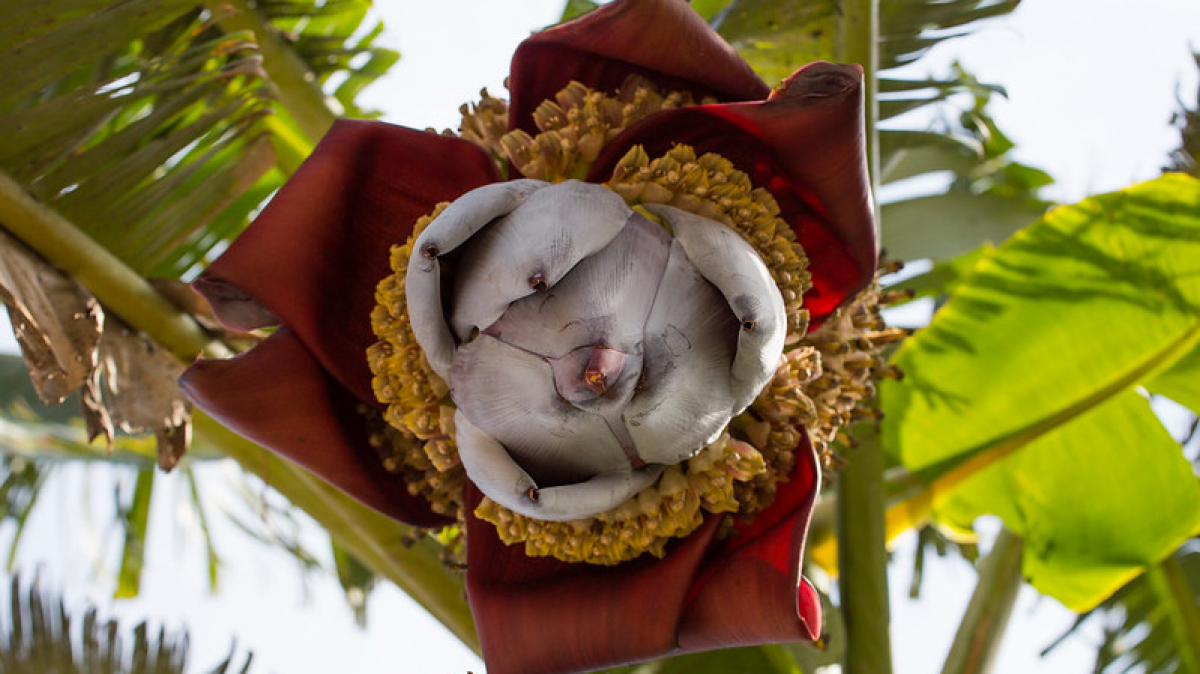 Photo by JonnyScholes, visualhunt.com