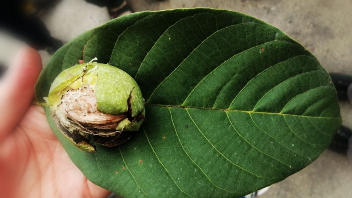 Фото наших Странников