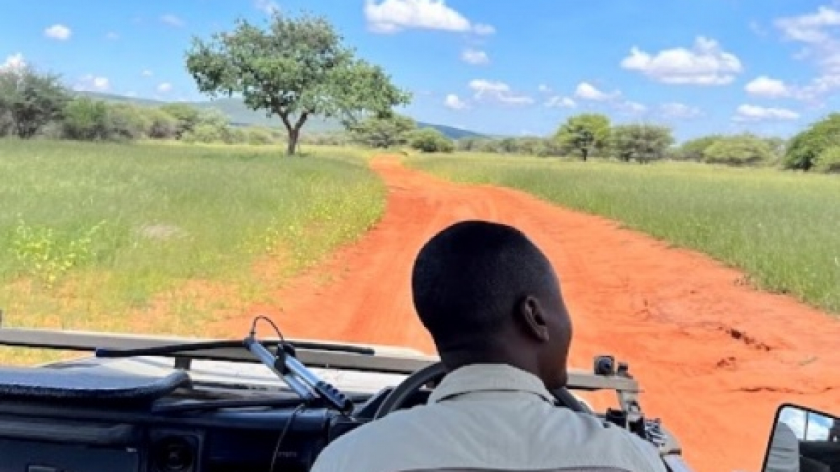 Сафари. Фото: наш гид Алексей Шорец