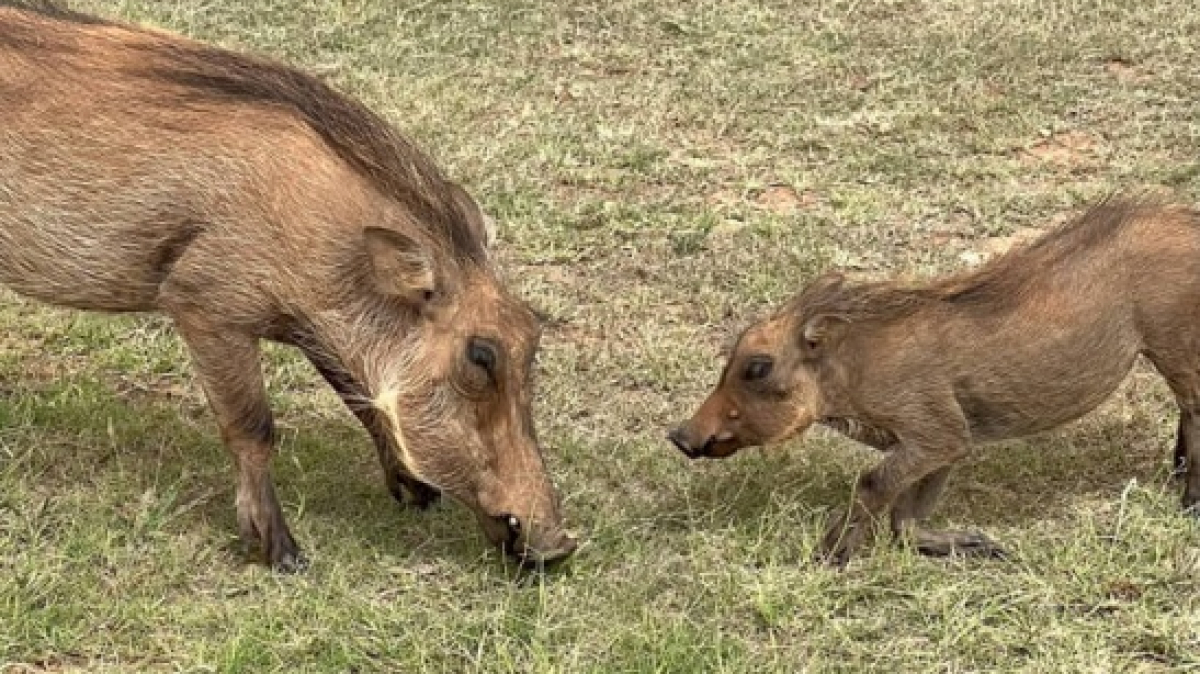 Фото: наш гид Алексей Шорец